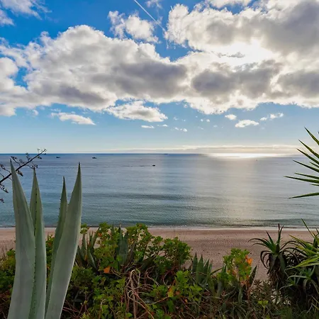 Apartment Refugio Da Falesia